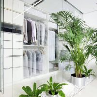 Transparent glass doors in the pantry