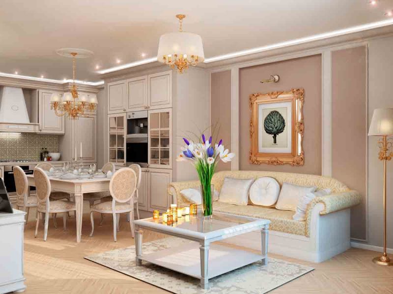 Classic-style kitchen-living room decoration