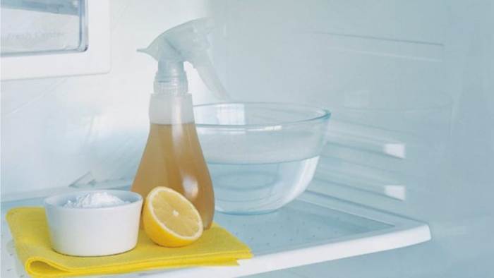 Folk remedies for washing the refrigerator.